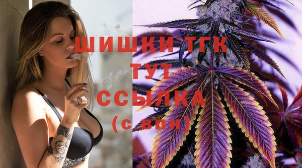 молекула духа Бронницы