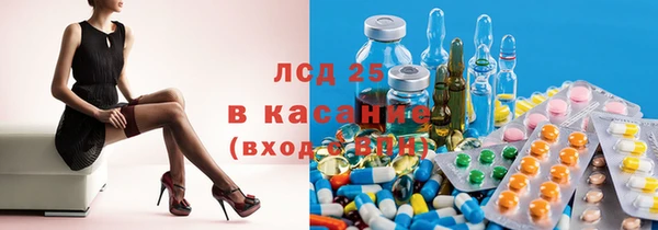 эйфоретик Бородино