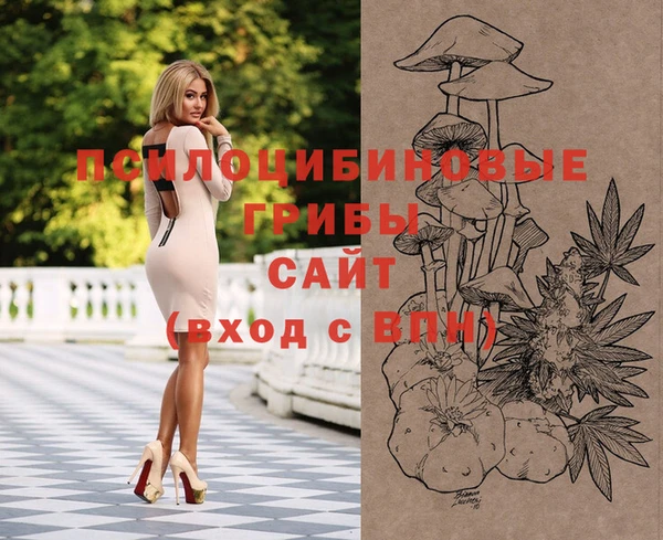 эйфоретик Бородино