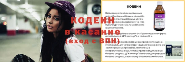 молекула духа Вяземский