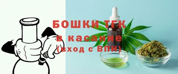 молекула духа Бронницы