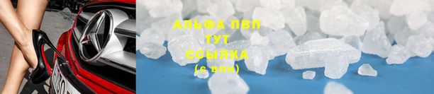 эйфоретик Бородино