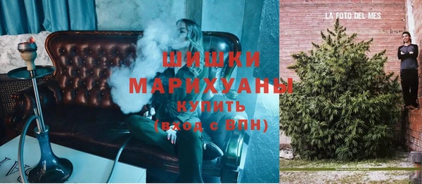 эйфоретик Бородино