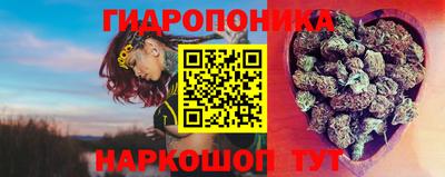 гашик Балашиха
