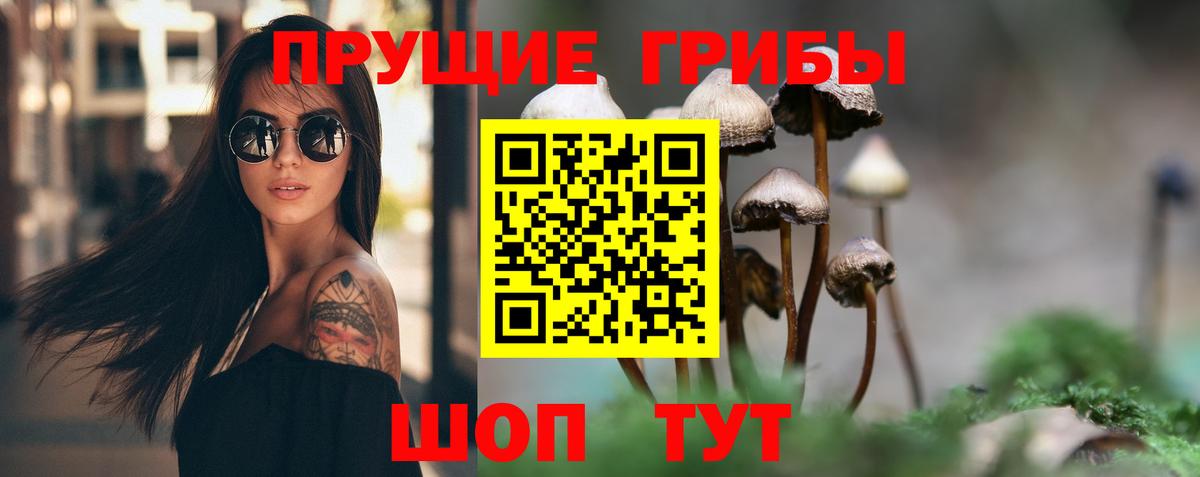 Галлюциногенные грибы мухоморы Выборг
