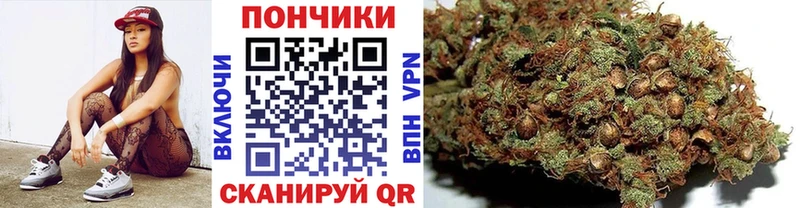 как найти наркотики  Выборг  Канабис индика 